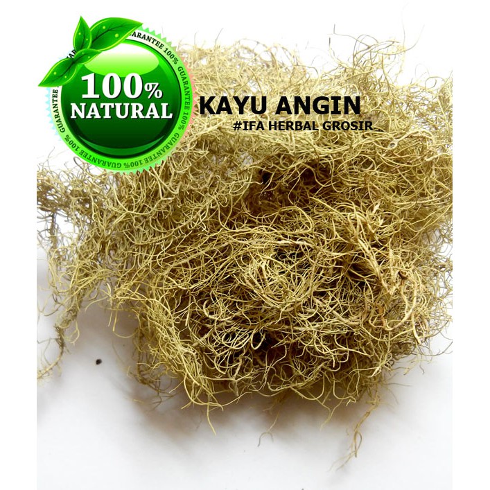 Jual Jamu Herbal Tradisional Tanaman Obat Kayu Angin Shopee Indonesia