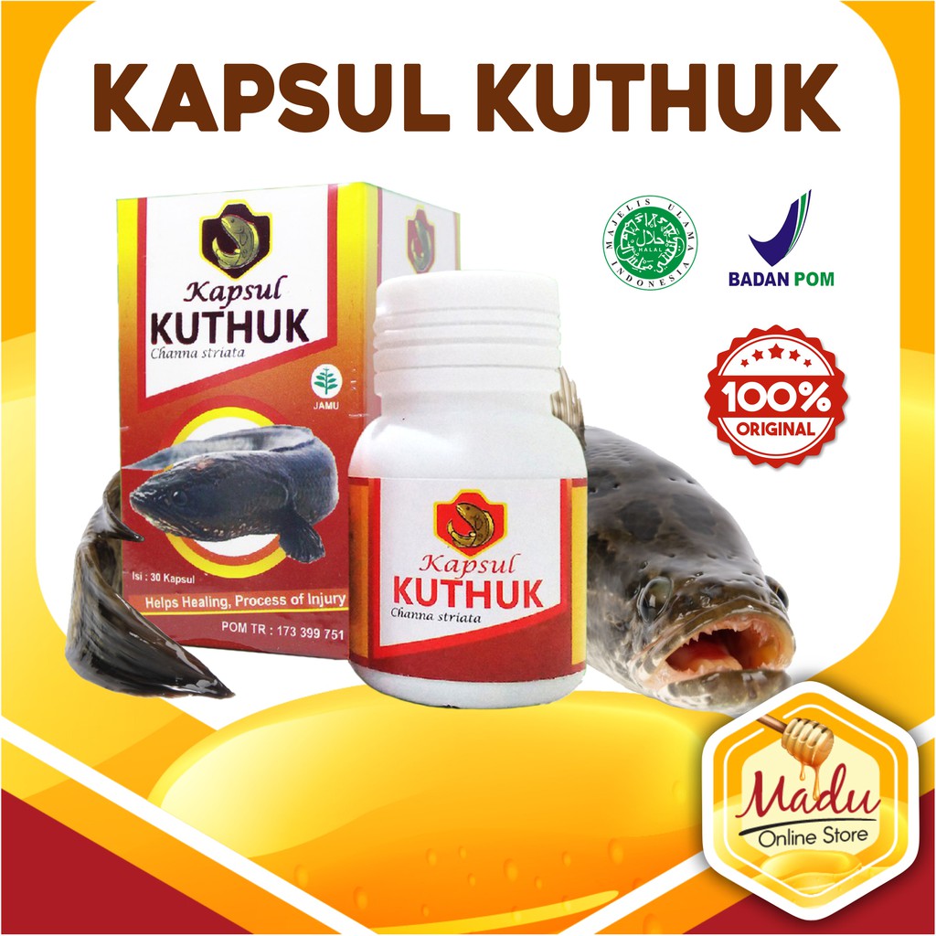 Jual KAPSUL KUTHUK 30kps Suplemen Kesehatan Kapsul Kutuk Asli Chana