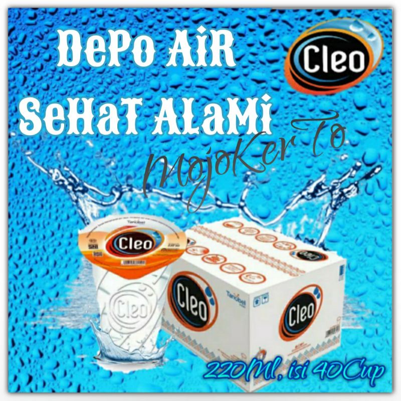 Jual Air Cleo Gelas 220Ml Isi 40Cup Shopee Indonesia