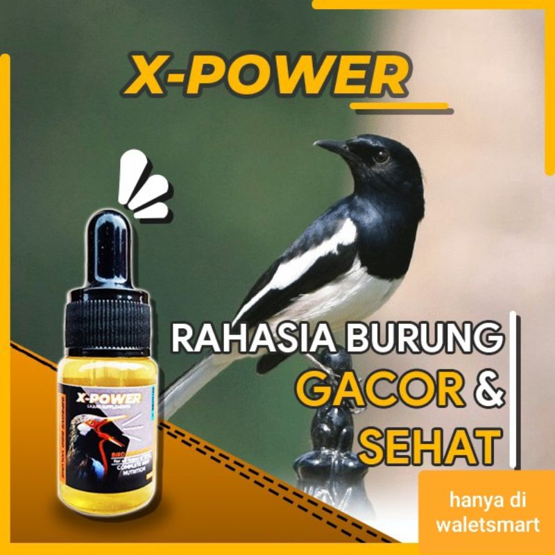 Jual X POWER Membuat Burung Bahan Atau Macet Kembali Gacor Dan Sehat