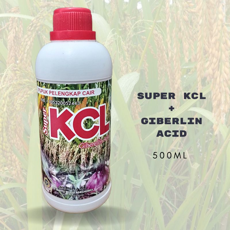 Jual Kcl Ga Kcl Giberlin Acid Ml Shopee Indonesia