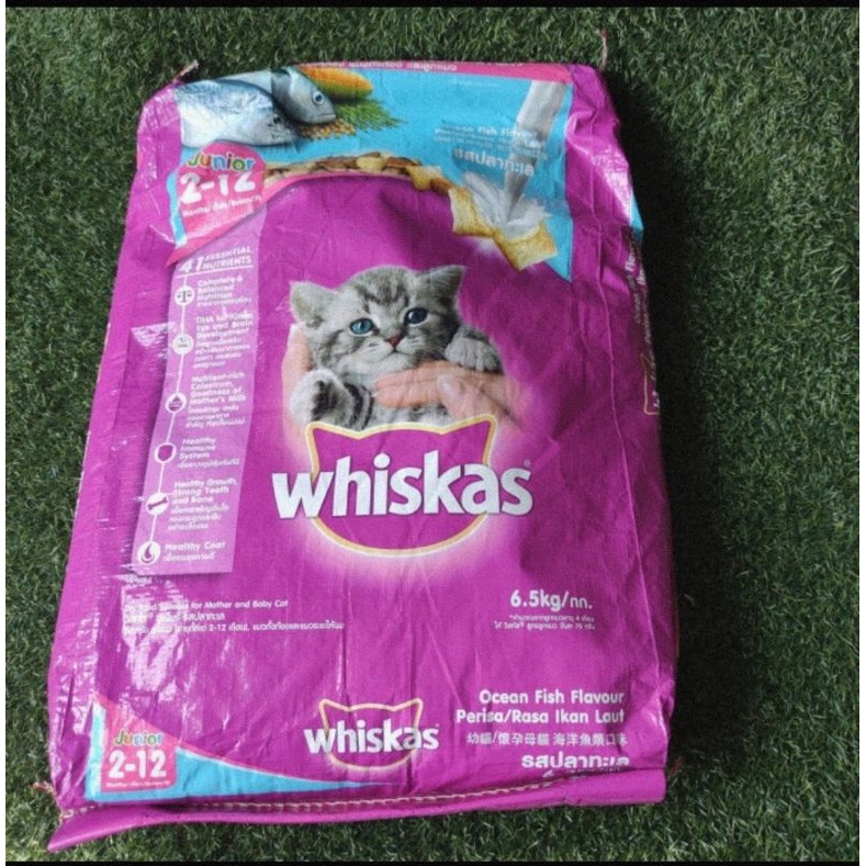 Jual Makanan Kucing Kitten Whiskas Junior Ocean Fish Repack Gram