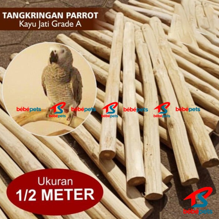 Jual Tangkringan Parrot Cm Kayu Gigitan Burung Macau Afgrey Ular