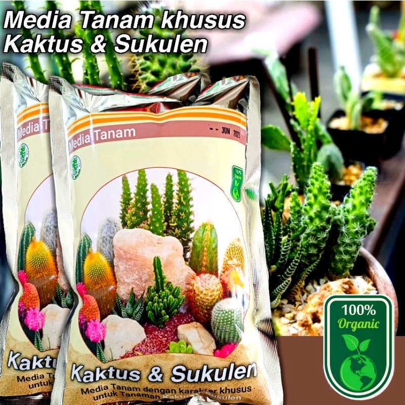 Jual Media Tanam Kaktus Dan Sukulen 500gr Dengan Bahan Organik Shopee