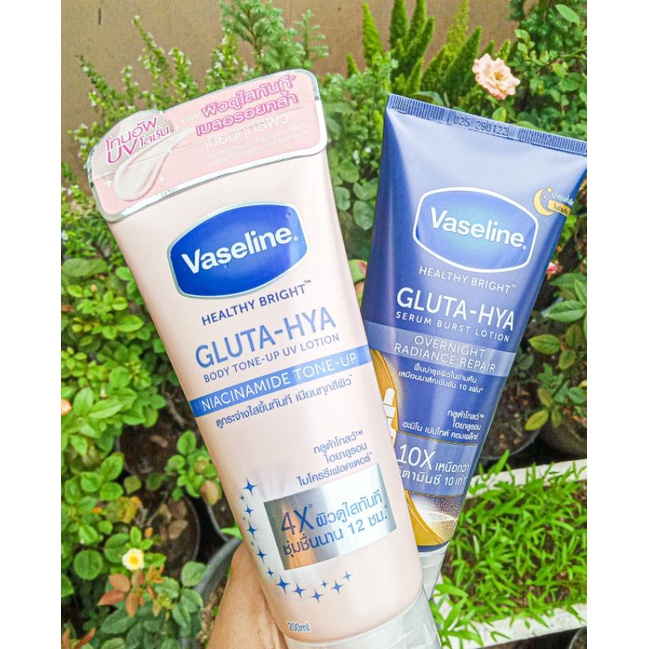 Jual IMPORT 200ML 300ML 330ML READY STOK Vaseline Gluta Hya Import