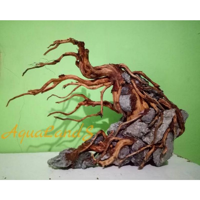 Jual Hardscape Aquascape Rasamala Shopee Indonesia