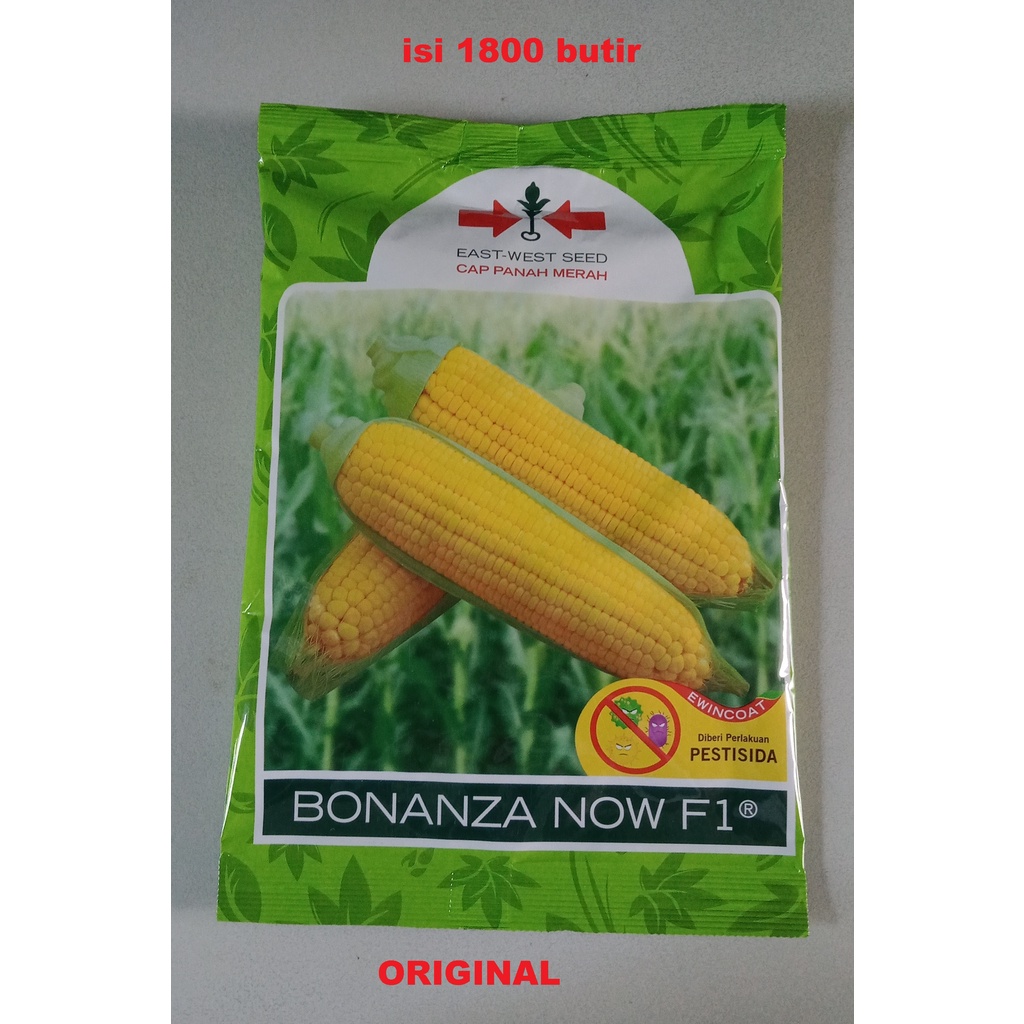 Jual Benih Jagung Manis Bonanza Now F Kaleng Pack Isi Btr Panah