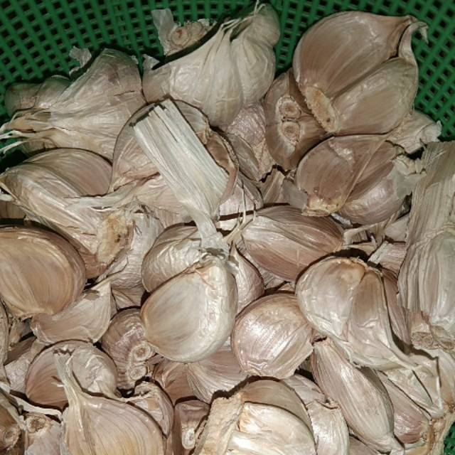 Jual Bawang Putih Kating Sortiran Grade B Shopee Indonesia