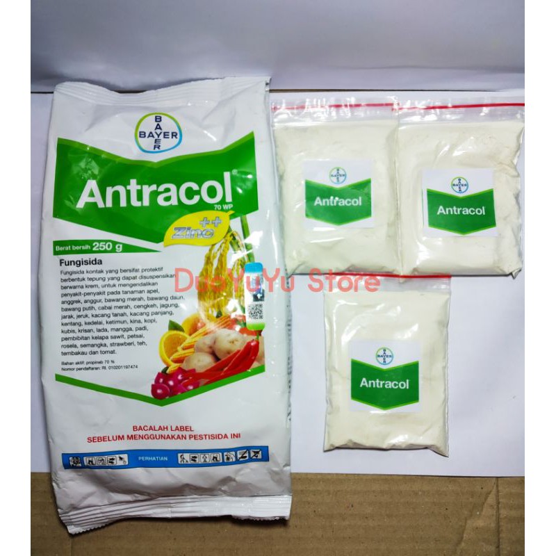 Jual Fungisida Antracol Wp Zinc Kemasan Repack Gr Obat Jamur