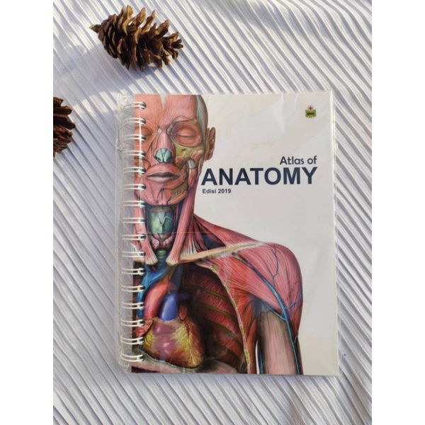 Jual Medical Mini Notes Atlas Of Anatomy MMN Anatomi Atlas Anatomi