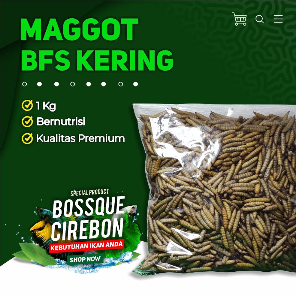 Jual Maggot Bsf Kering Magot Dry Maggot Pakan Ikan Terbaik Tidak