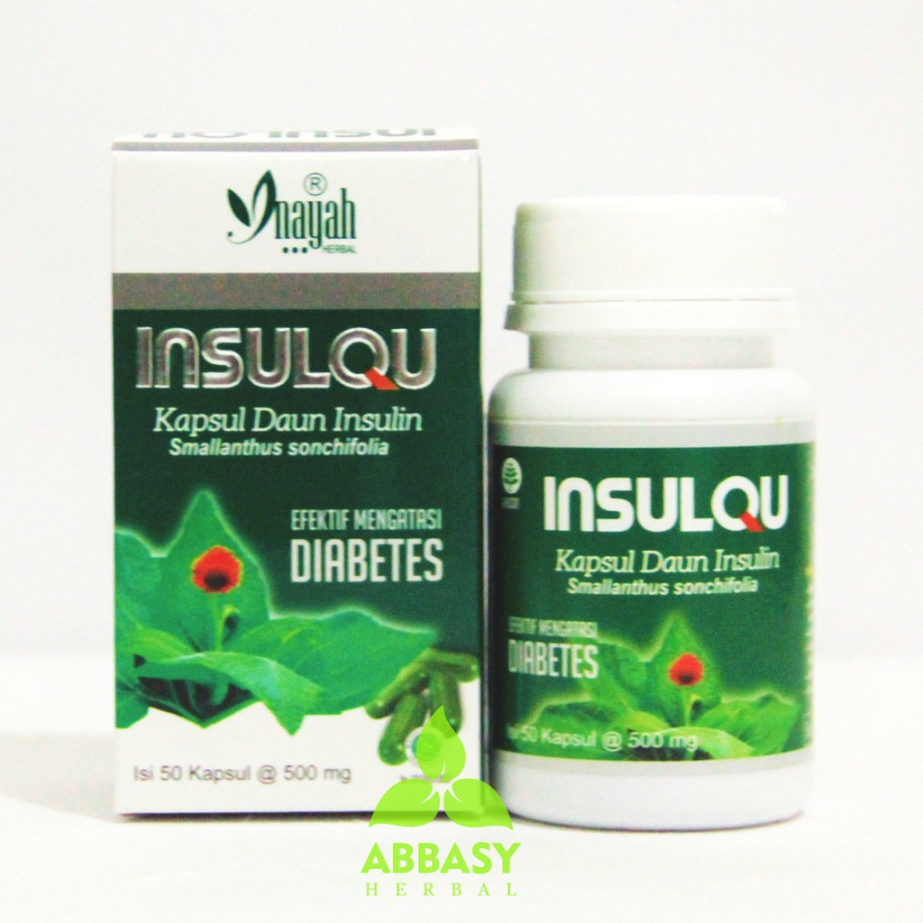 Jual Kapsul Daun Insulin Insulqu Original Inayah 50kapsul Efektif