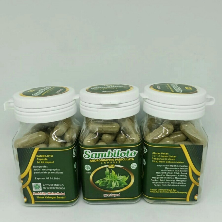 Jual Sambiloto Herbal Sambiloto Isi Kapsul Shopee Indonesia