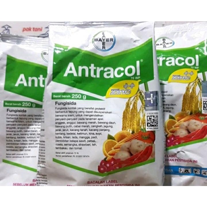 Jual Produk Fungisida Antracol Obat Jamur Pada Tanaman Wp Zinc