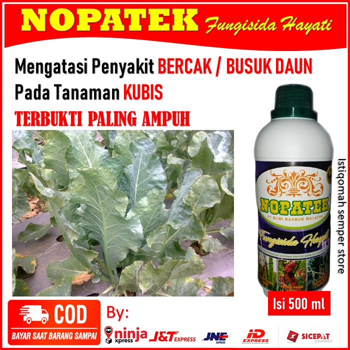 Jual NOPATEK Fungisida Hayati Atasi Bercak Busuk Daun Kubis Obat