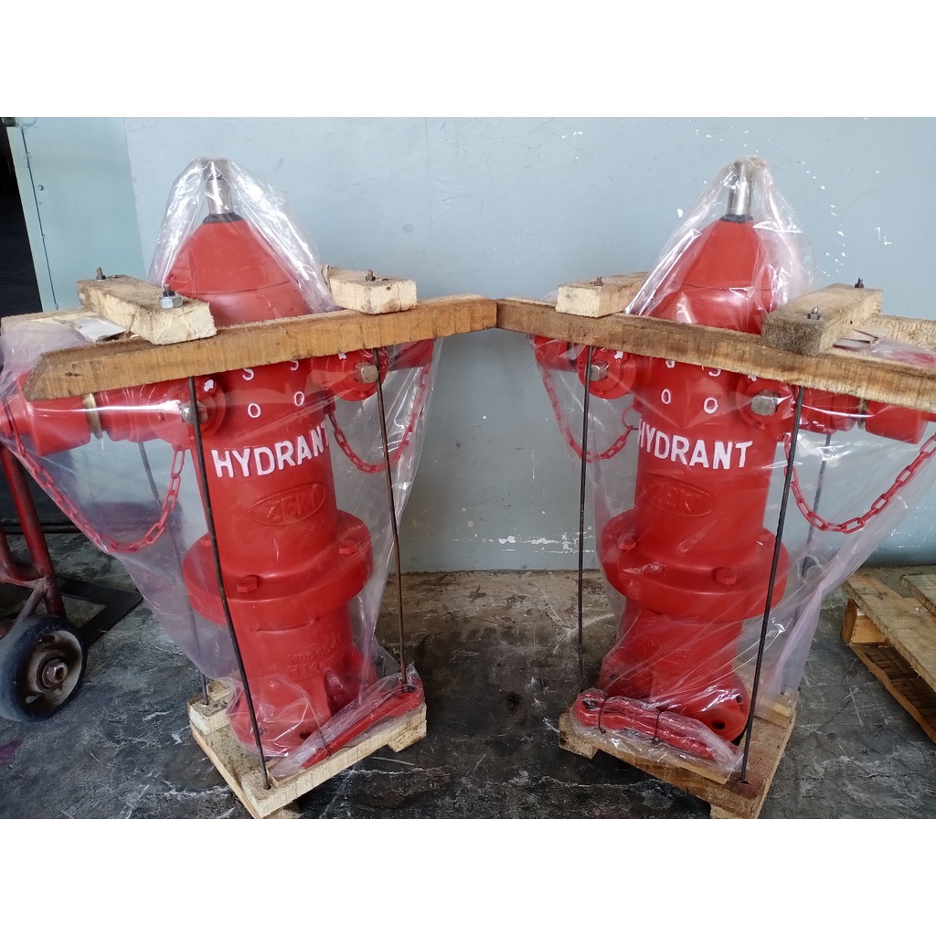 Jual HYDRANT PILLAR ZEKI TWO WAY PEMADAM API DUA ARAH 4 X 2 5 X 2 5