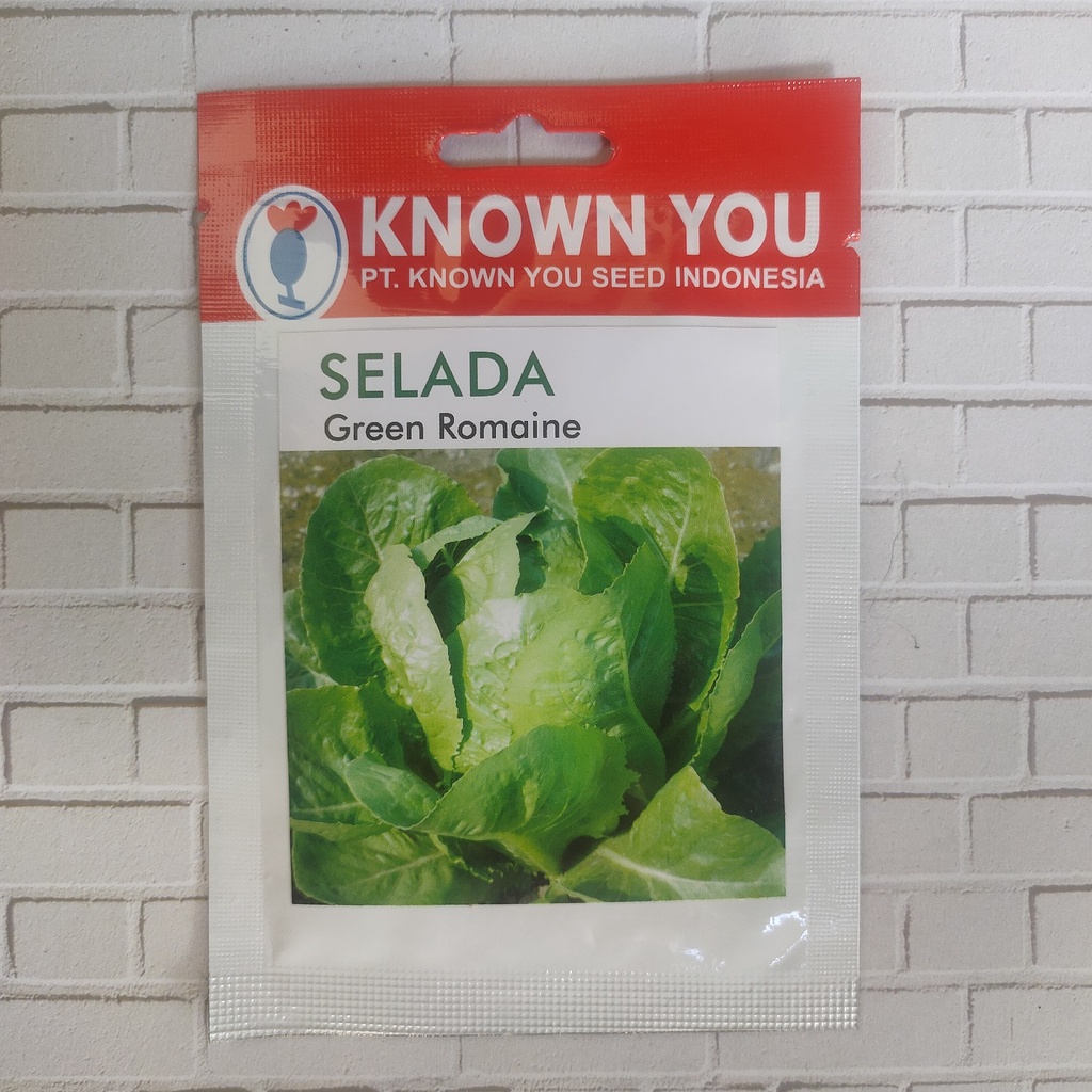 Jual Benih Biji Selada Green Romaine Known You Seed Shopee Indonesia