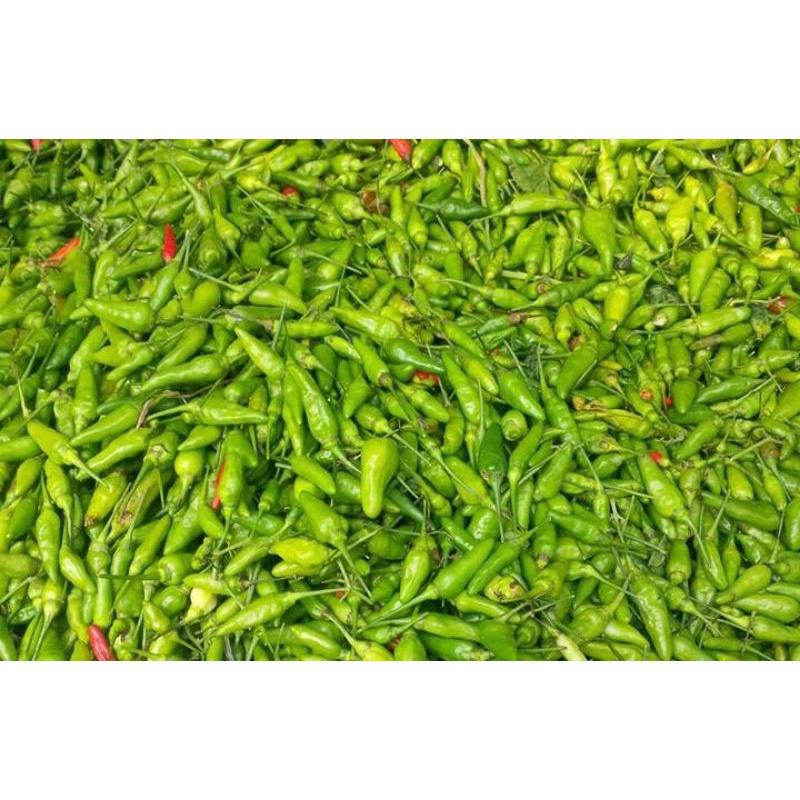 Jual Cabe Rawit Berastagi Fresh Shopee Indonesia