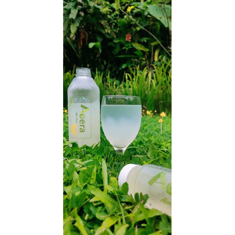 Jual Minuman Lidah Buaya Aloevera Shopee Indonesia