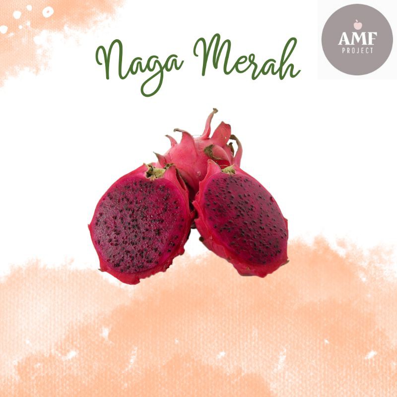 Jual BUAH NAGA MERAH PER 1KG FRESH DAN MANIS Shopee Indonesia