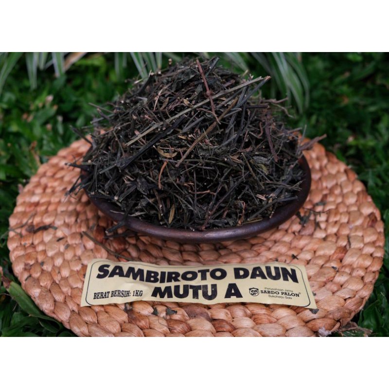 Jual Daun Sambiroto Sambiloto Kering Super Mutu A 1 Kg Shopee