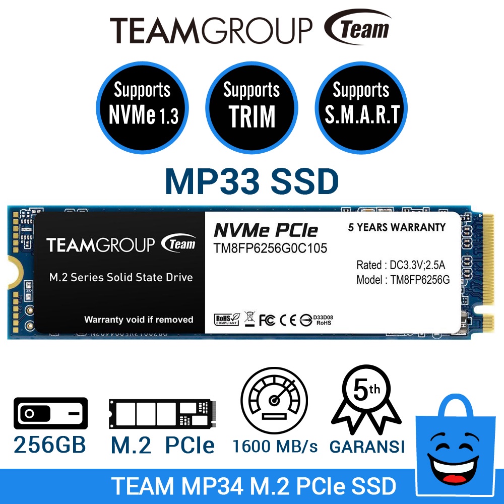 Jual Team Group SSD MP33 M 2 PCIe Gen3x4 Solid State Drive 256 GB