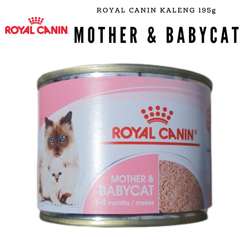 Jual Royal Canin Mother And Baby Cat Kaleng Gr Makanan Basah Rc