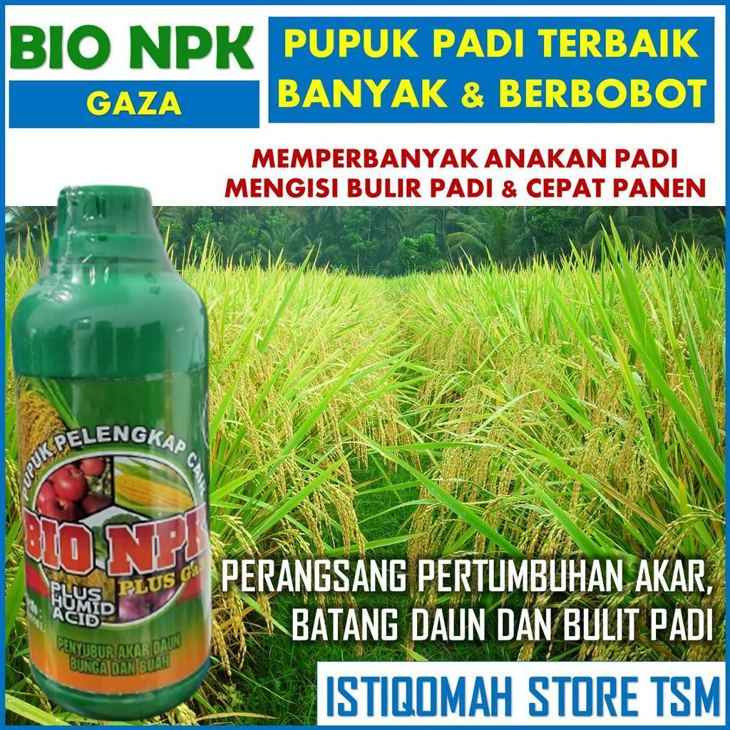 Jual Bio Npk Gaza Obat Pelebat Bulir Dan Buah Tanaman Padi Pupuk