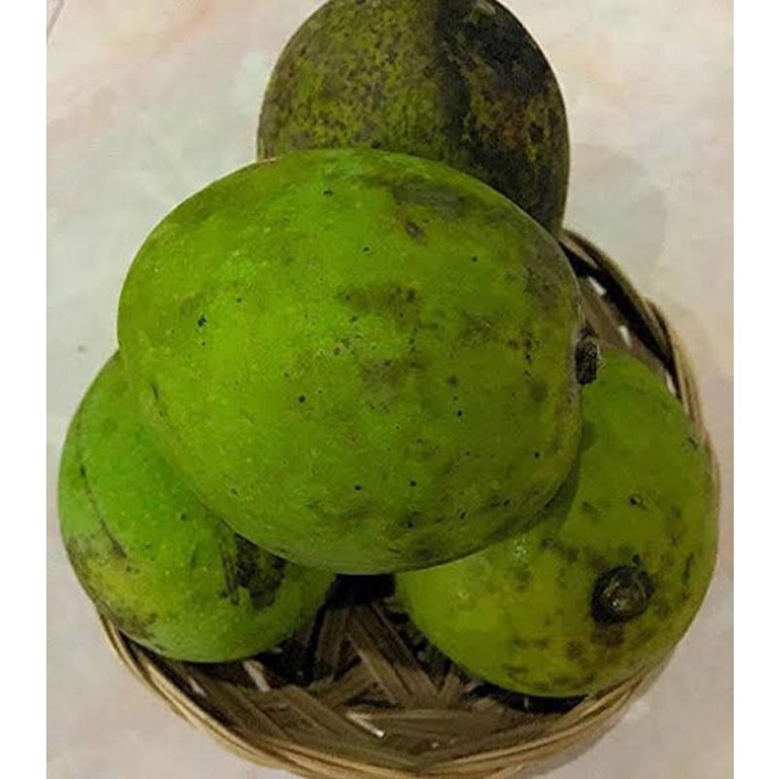 Jual Buah Mangga Kweni Segar Kg Shopee Indonesia