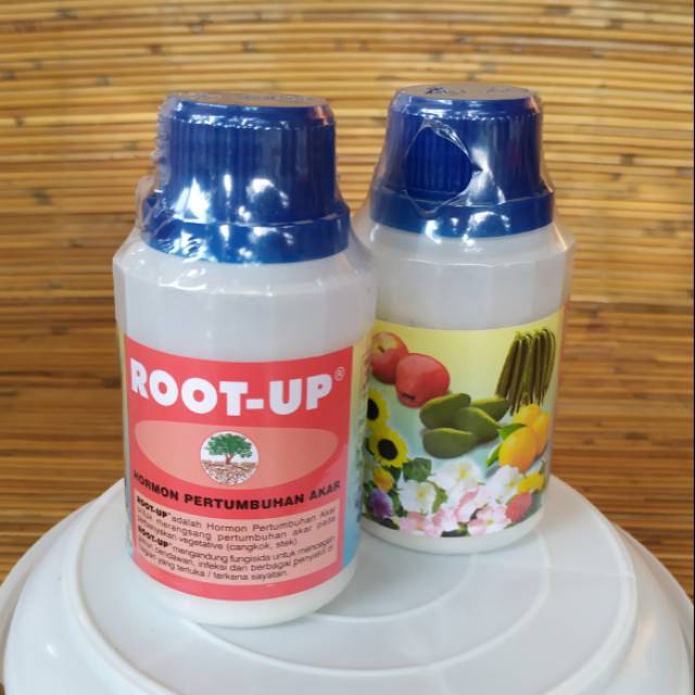 Jual Hormon Root Up Zpt Hormon Pertumbuhan Akar Gram Shopee Indonesia