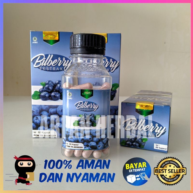 Jual Bilberry Syifa Kapsul Buah Bilberry Untuk Kesehatan Mata