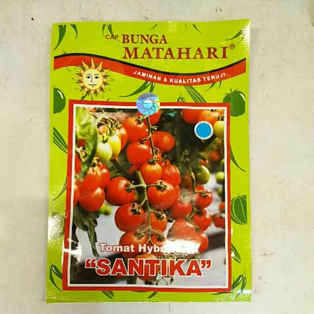 Jual Benih Tomat Santika F Gr Shopee Indonesia