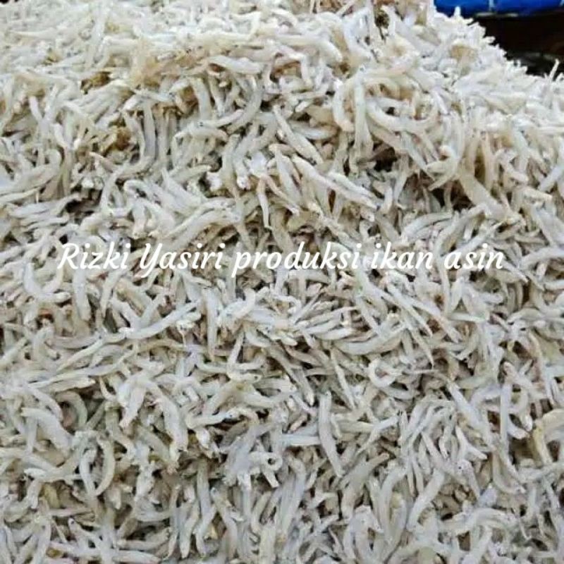 Jual Ikan Asin Teri Medan Teri Nasi Gram Seperempat Shopee Indonesia