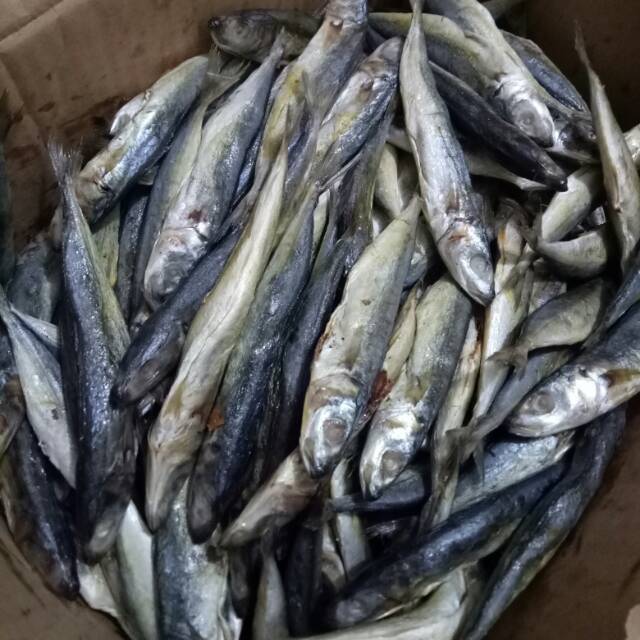 Jual Ikan Asin Klotok Layang Benggol Segar Ikan Asin Terlaris Harga