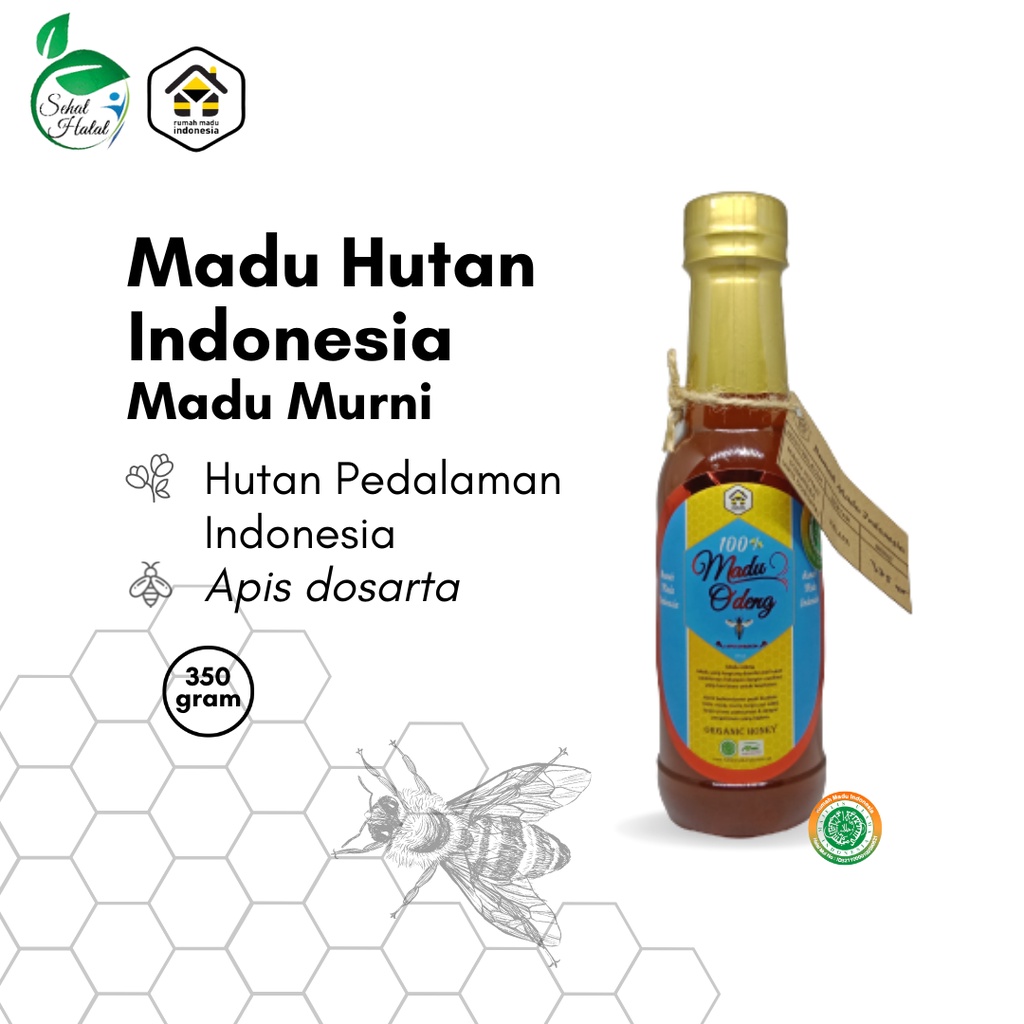 Jual Madu Murni Hutan Indonesia Gr Asli Lebah Apis Dorsata Pure