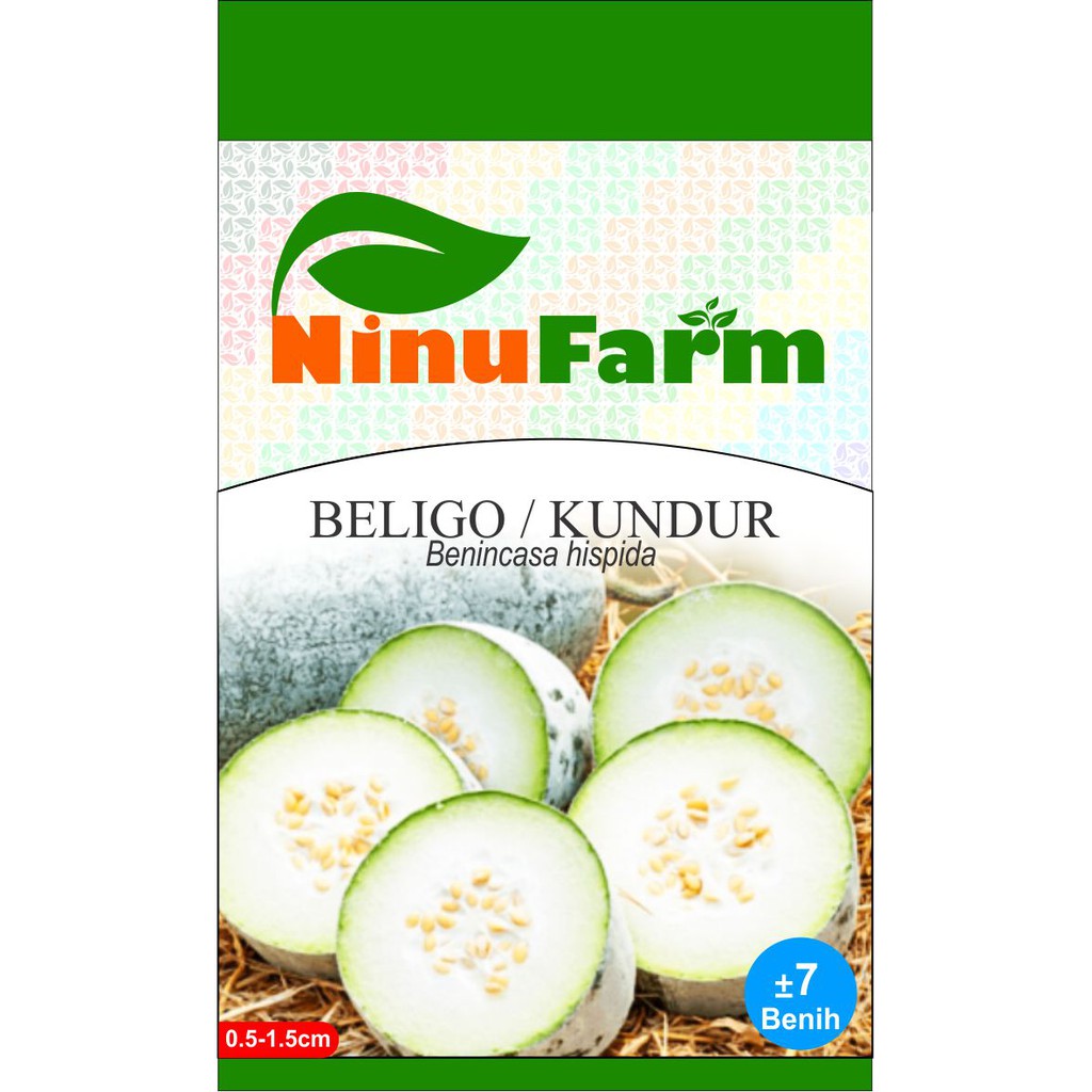 Jual Benih Beligo Kundur Wax Melon Seeds Shopee Indonesia