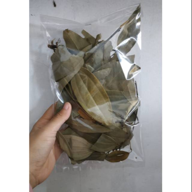 Jual Daun Kayu Manis Kering Shopee Indonesia