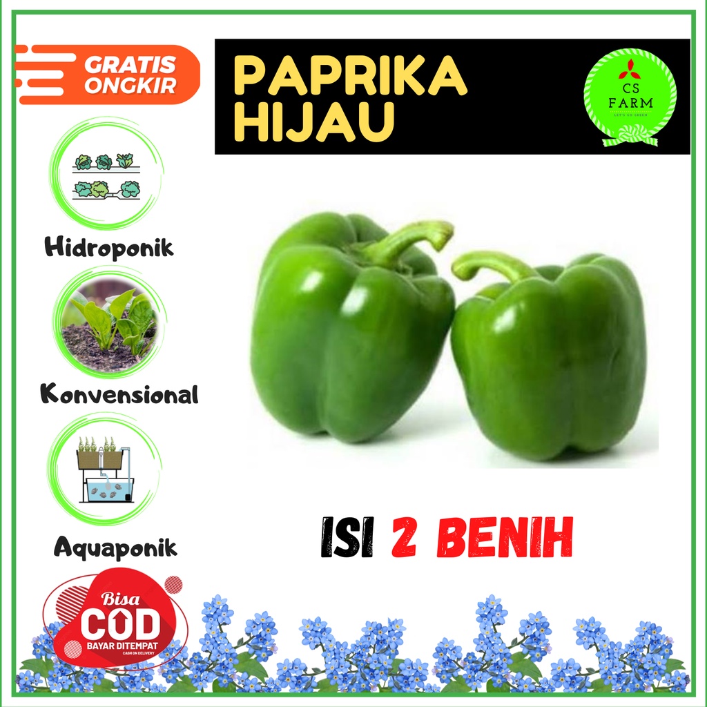 Jual Benih Paprika Hijau Bibit Sayur Berkualitas Seribu EXP 07 2026