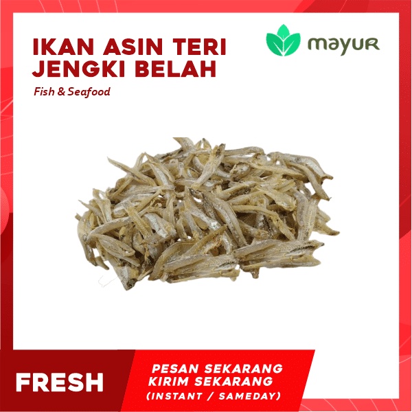 Jual Ikan Asin Teri Jengki Belah 100 Gram Shopee Indonesia