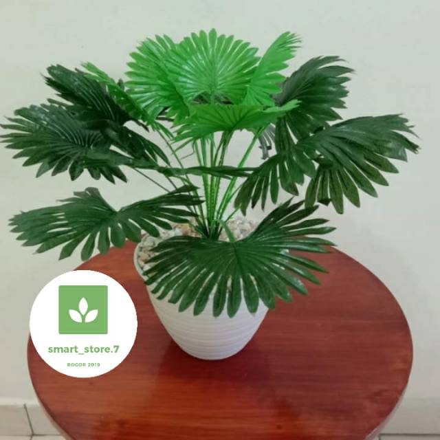 Jual Daun Palem Plastik Pohon Palem Artifisial Pot Putih Palem