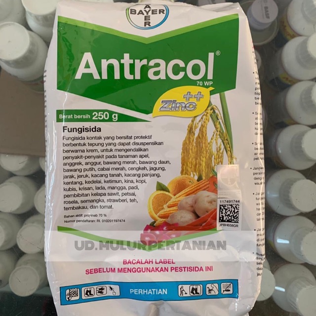 Jual Fungisida Bayer Antracol Wp Gr Shopee Indonesia