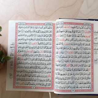 Jual Mushaf Al Quran Riwayah Ad Duuriy Dan As Suusiy Qiraah Abu Amr