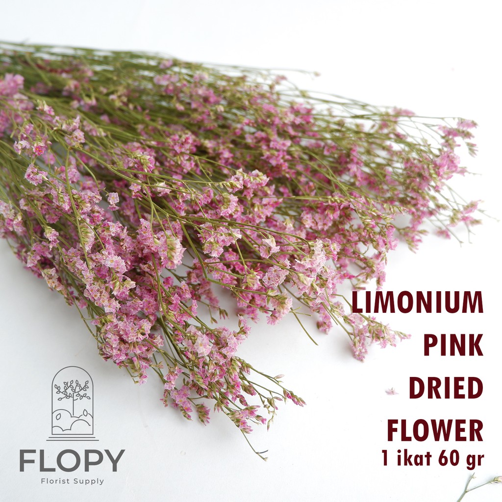 Jual Ikat Limonium Ungu Dried Flower Bunga Kering Limonium