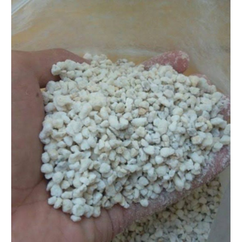 Jual Media Tanam Perlite Media Tanam Hidroponik Shopee Indonesia