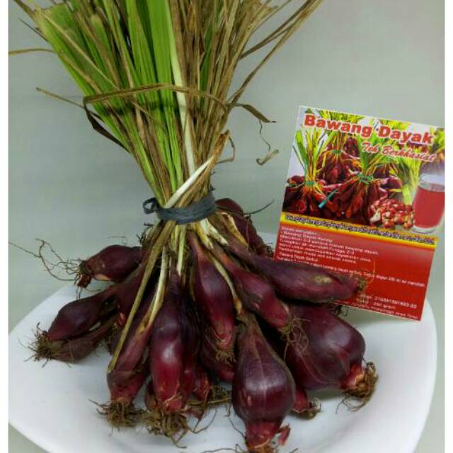 Jual Bawang Dayak Kg Bawang Dayak Basah Bawang Dayak Segar Bawang