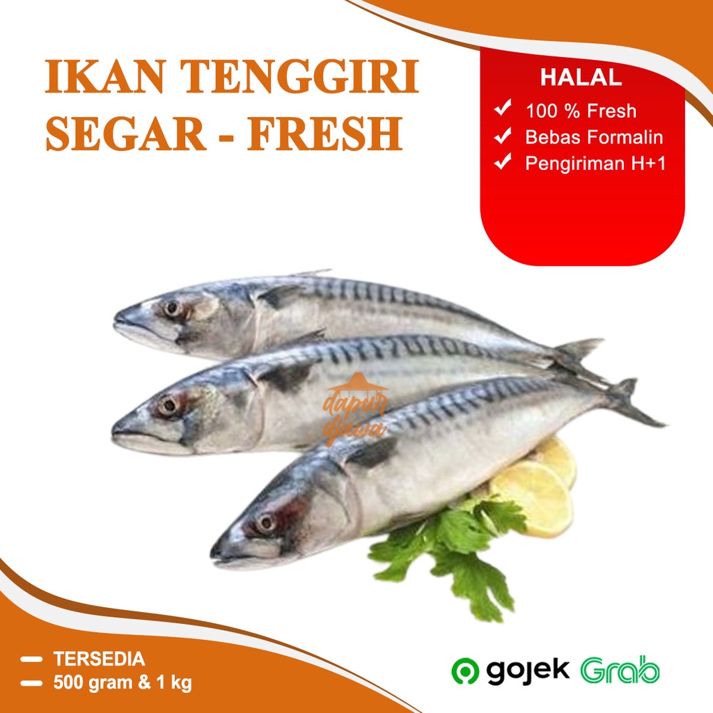 Jual IKAN TENGGIRI LAUT SEGAR BEKU FROZEN FRESH GEPENG 500 GR 500GR 1