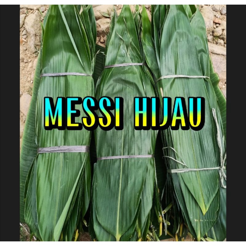 Jual DAUN BAMBU Jumbo 8 10cm Bungkus Bakcang 100Lembar Shopee Indonesia