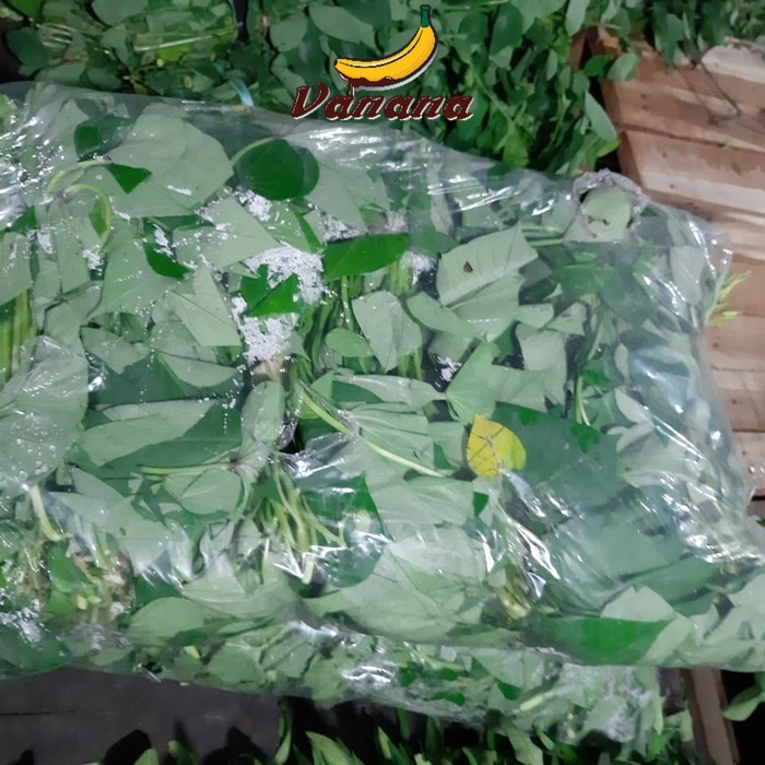 Jual Vanana Sayur Daun Ubi Jalar Daun Ketela Rambat Kantong Shopee