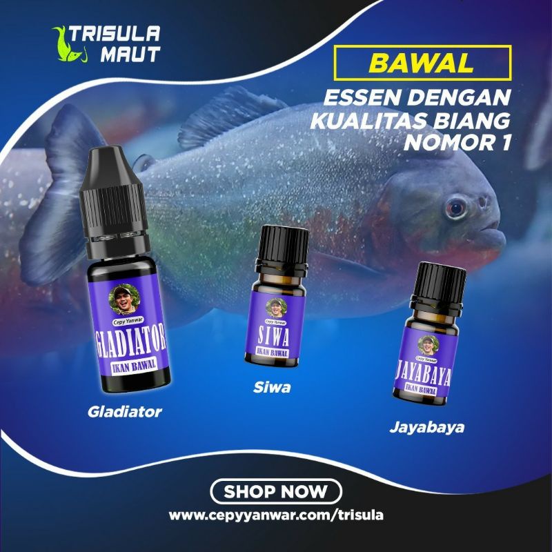 Jual ESSEN TRISULA MAUT UMPAN UNTUK SEGALA JENIS IKAN AIR TAWAR DAN