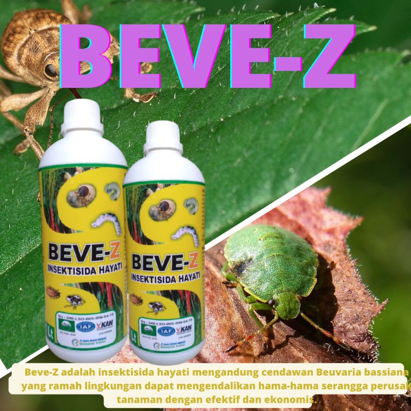 Jual Obat Pembasmi Hama Tanaman Insektisida Hayati Beve Z Untuk Aphids